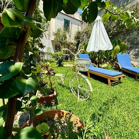 Gogas Amalfi Coast Lägenhet Cetara Exteriör bild