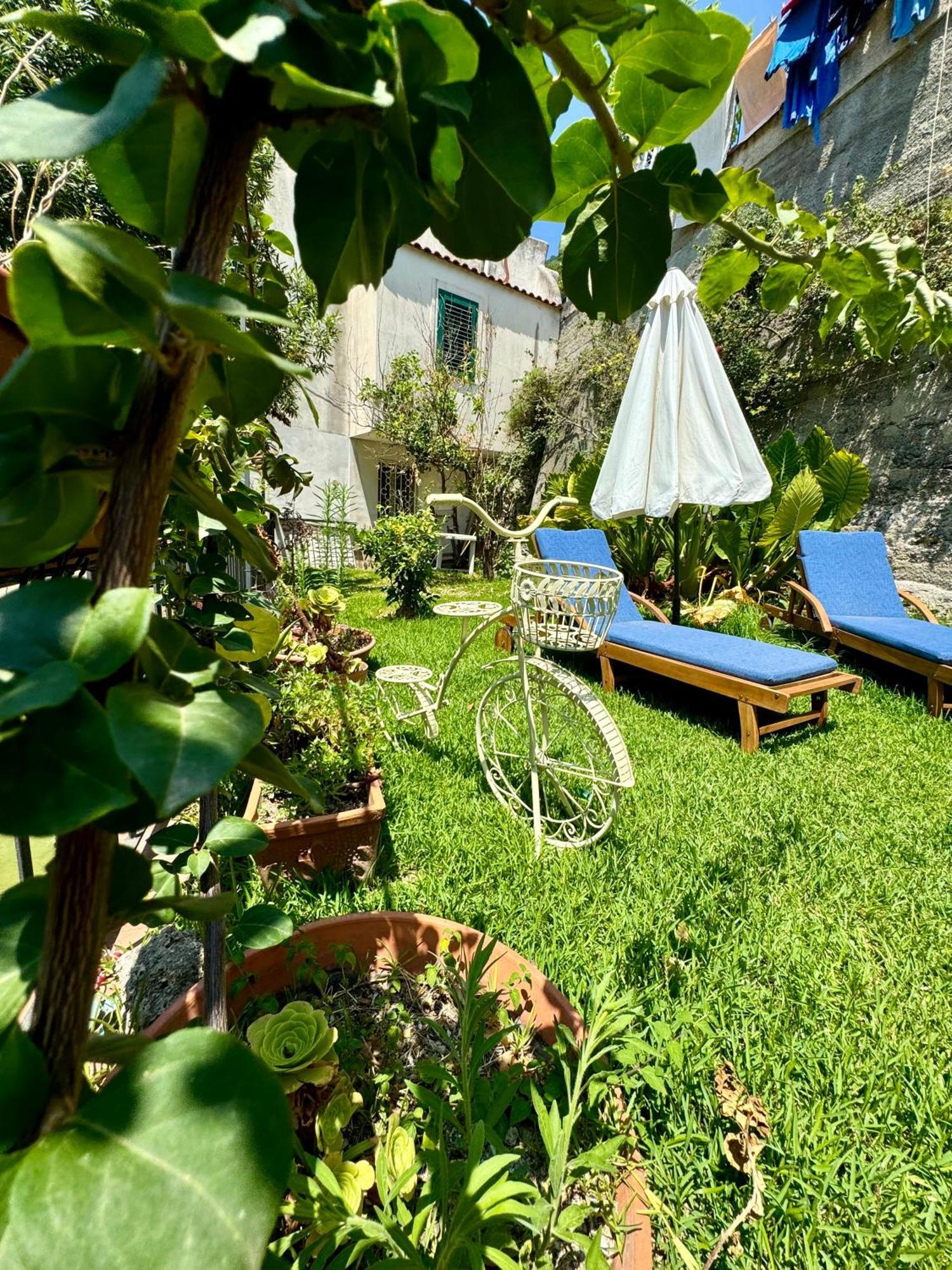 Gogas Amalfi Coast Lägenhet Cetara Exteriör bild